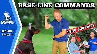 Cleo Learns Four Critical Commands  Dobie Masters Season 1 Episode 3 [upl. by Devad]