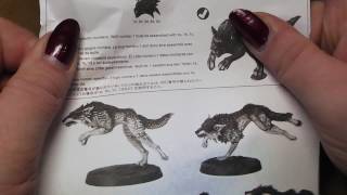 Unboxing Space Wolves Fenrisian Wolf Pack [upl. by Gnagflow]