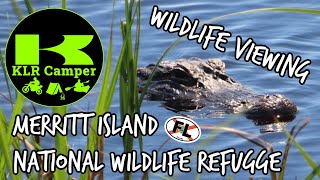 Visiting Merritt Island National Wildlife Refuge [upl. by Dlareg]