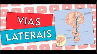 VIAS LATERAIS  NEUROSTUDENT 13 [upl. by Hodges]