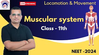 Skeleton system  04  Locomotion and Movement  Class 11  NEET  2024 [upl. by Cory]