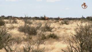 Namibia erleben  Teil 6  Lodges zum Wohlfühlen [upl. by Deehahs]