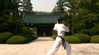 고려품새 동영상 Koryo Poomsae [upl. by Loeb]