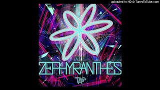 TAG  ZEPHYRANTHES [upl. by Haiacim]