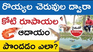 Prawn Farming in Telugu  How to Start a Prawn Farming  వనామీ రొయ్య పెంపకం WG Dist Kowshik Maridi [upl. by Ecirtra]