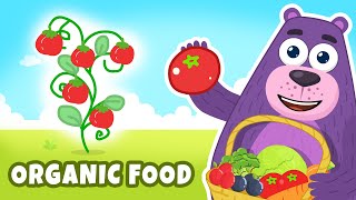 What is organic food  Good Habits  Moral Stories  Polly Olly [upl. by Lerraj572]