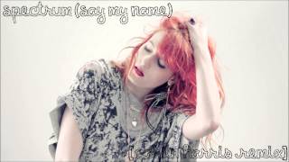 Spectrum Say My Name Calvin Harris Remix  Florence  the Machine Official Instrumental [upl. by Donaldson480]