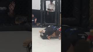 Triangle choke to armbar transition Nogi jiujitsu [upl. by Serrano]