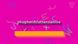 PHOSPHATIDYLETHANOLAMINE  HOW TO SAY PHOSPHATIDYLETHANOLAMINE [upl. by Rizika610]