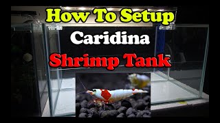 Caridina Shrimp Tank Part 1  SL Aqua Method [upl. by Dusen]