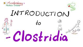 Introduction to Clostridia Clostridium tetani botulinum perfringens difficile  Microbiology 🧫 [upl. by Dulcinea84]