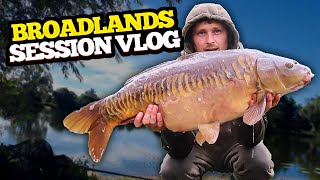 Spring Carp Fishing Session At Broadlands [upl. by Roma]