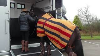 Why choose an EquiTrek horsebox [upl. by Etsirk]