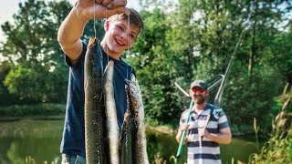 Überraschung im Gartenteich Riesige Aale amp Schleien [upl. by Eilama126]