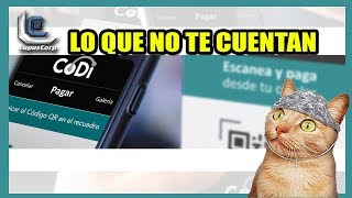 💥 CODI  Lo que no te cuentan  Banxico 💥 [upl. by Chrysa728]