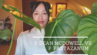 RARE PHILODENDRONS  DEAN MCDOWELL VS PASTAZANUM [upl. by Egag]