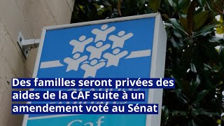 Des familles seront privées des aides de la CAF suite à un amendement voté au Sénat [upl. by Ocker]