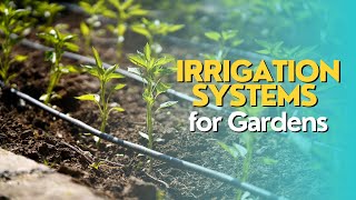 Irrigation Systems for Gardens [upl. by Buzz]