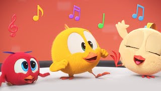 Chickys music group  Wheres Chicky  Cartoon Collection in English for Kids  New episodes [upl. by Nelag]