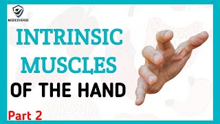 Muscles of the hand  Origin  Insertion and Action  Intrinsic muscles  Part 2 [upl. by Myriam884]