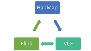 Convert SNP data from one format to another in few clicks Part 1 HapMap  VCF  Plink [upl. by Schiff]