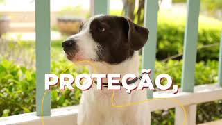 Quarteto Dermato Organnact cuidados dermatológicos para pets de todos os tamanhos [upl. by Schafer]