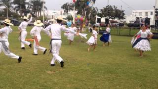 Coreografía de Marinera Norteña Mixta  Playa CanariasChilca [upl. by Tedmund]