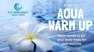 Effective Aqua Fitness Warm Up  Basic Moves  Prepare Body For Pool Exercise  6 min ROM AquaFIIT [upl. by Henson]