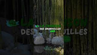 Teaser  La chanson des grenouilles  Patrick Sébastien [upl. by Lahsram]