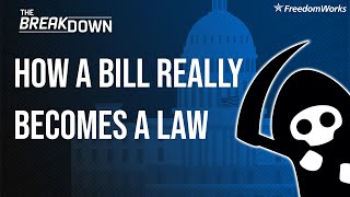 The Breakdown How a Bill REALLY Becomes a Law [upl. by Saville]