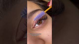 Natural Eyelash Extensions  Classic Lash Style [upl. by Vharat209]