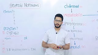 steroid Hormones biosynthesis [upl. by Ainesy]