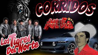 ☆puros corridos perrones 💥 los tigres del norte ☆☆Chalino Sánchez 💥 el rey del corrido 💥💥 [upl. by Notsgnal]