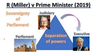 R Miller v Prime Minister [upl. by Nyrrad]