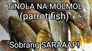 TINOLA NA MOLMOL parrot fish SOBRANG SARAAAP 🐠🐠🐠🌶️🌶️🌶️  rsltraveller [upl. by Ioyal]