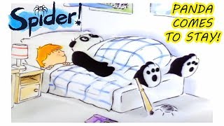 Spider Episode 10  Panda Comes To Stay  SPIDER IN THE BATH [upl. by Rochell]