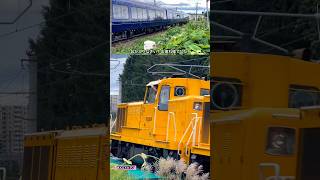 【20240812】ロイヤルエクスプレス：札幌へ帰還✋✨ 美しい黄色と青が映える✨👀（HOKKAIDO CRUISE TRAIN） [upl. by Leirraj]