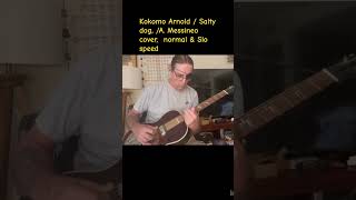 Saltydog ragtimeblues Slideguitar guitarlesson OpenGtunning slideguitarsloMo KokomoArnold [upl. by Minton]