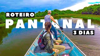 O QUE FAZER NO PANTANAL Todas as dicas [upl. by Amati142]