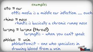 Medical Terminology the easy way [upl. by Mercy]