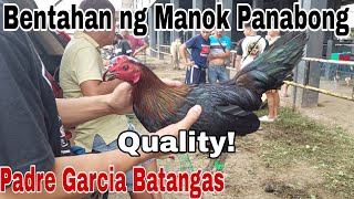 MGA QUALITY ANG MANOK Bentahan ng Manok Panabong sa Padre Garcia Batangas [upl. by Harwell621]