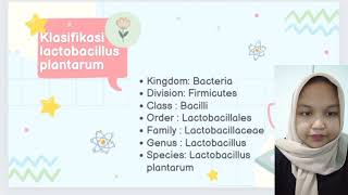 Lactobacillus Plantarum [upl. by Lucinda]