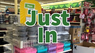 Dollar Tree 2024  NEW Finds This Week😮😮😮 [upl. by Aneem650]