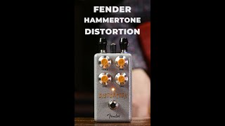 Fender Hammertone Overdrive Pedal Demo [upl. by Savina351]