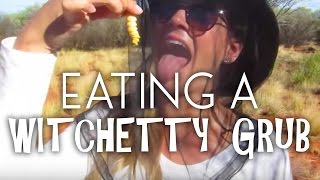 Eating a Witchetty Grub in The Outback of Australia [upl. by Alabaster850]