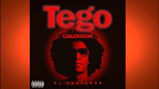 Tego Calderon MIX 🔥 tegocalderon [upl. by Oalsecnew]