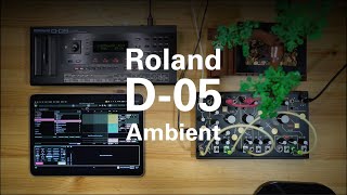 Roland D05 Ambient [upl. by Mahgem]