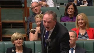 Australian Deputy Prime Minister Barnaby Joyce screams quotcarpquot amp quotmudsucking creaturesquot [upl. by Nalro]