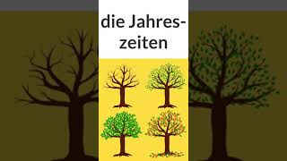 Deutsch lernen  die Jahreszeiten  seasons in German  A1 shorts  Wortschatz  learn German [upl. by Mal]