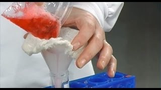 Strawberry DNA Extraction [upl. by Eserahs75]